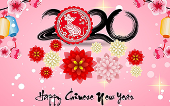 Chinese New Year 2020 promo
